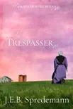 The Trespasser (Amish Country Brides) book summary, reviews and download