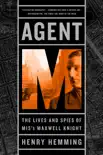 Agent M synopsis, comments