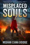 Misplaced Souls synopsis, comments