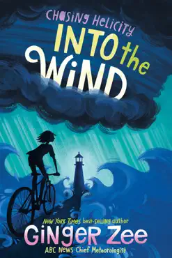 chasing helicity: into the wind book cover image