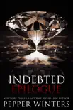 Indebted Epilogue synopsis, comments