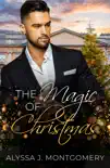 The Magic of Christmas synopsis, comments