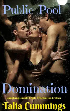public pool domination book cover image