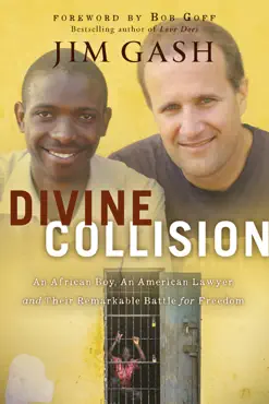 divine collision book cover image