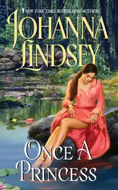 once a princess book cover image