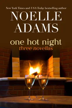 one hot night book cover image