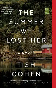 the summer we lost her book cover image