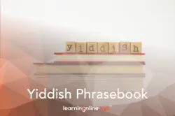 yiddish light phrasebook book cover image