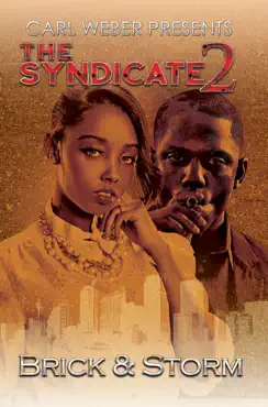 the syndicate 3 book cover image