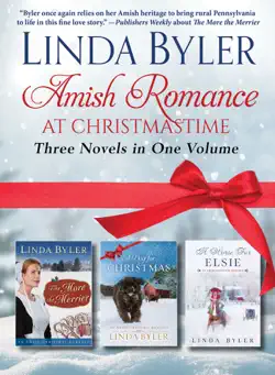 amish romance at christmastime book cover image