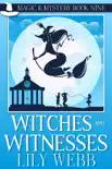 Witches and Witnesses synopsis, comments