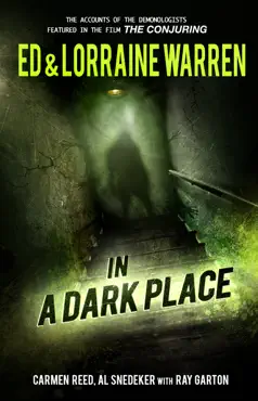 in a dark place book cover image