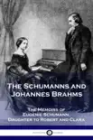 The Schumanns and Johannes Brahms sinopsis y comentarios