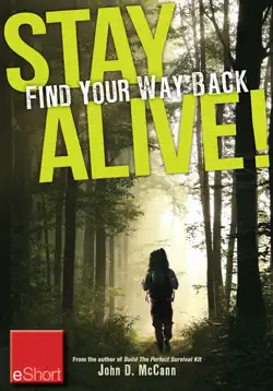 stay alive - find your way back eshort book cover image