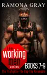 Working Men Series Books Seven to Nine synopsis, comments