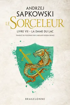the witcher : la dame du lac book cover image
