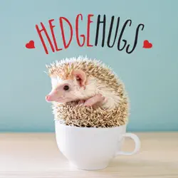 hedgehugs book cover image