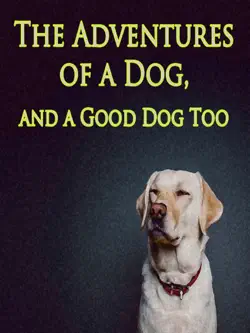 the adventures of a dog, and a good dog too book cover image