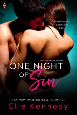 one night of sin book cover image