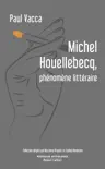 Michel Houellebecq, phénomène littéraire sinopsis y comentarios