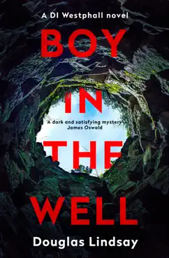 boy in the well book cover image