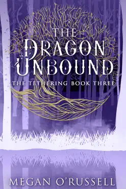 the dragon unbound book cover image