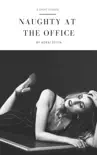 Naughty At The Office synopsis, comments