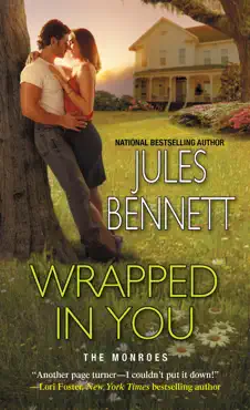 wrapped in you book cover image