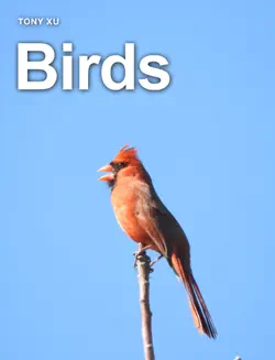 birds book cover image