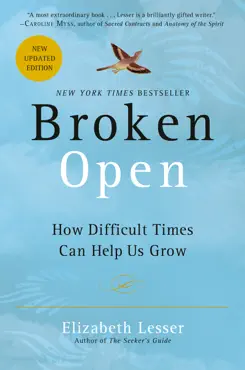 broken open book cover image