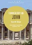 Commentary on John synopsis, comments