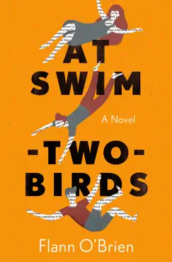 at swim-two-birds book cover image