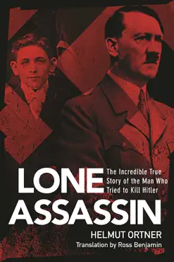 lone assassin book cover image