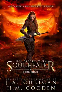 soul healer book cover image