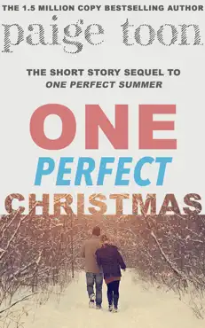 one perfect christmas book cover image