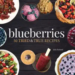 blueberries book cover image