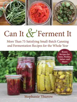 can it & ferment it book cover image