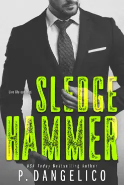 sledgehammer book cover image