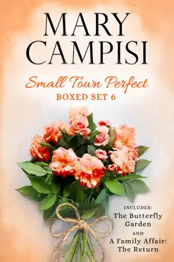 small town perfect boxed set 6 book cover image
