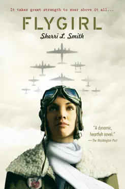 flygirl book cover image