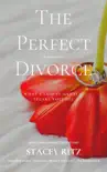 The Perfect Divorce synopsis, comments