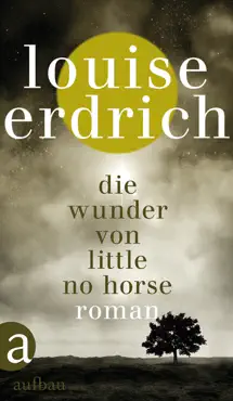 die wunder von little no horse book cover image