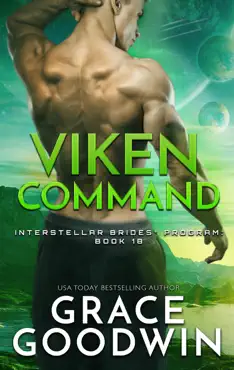 viken command book cover image
