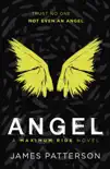 Angel: A Maximum Ride Novel sinopsis y comentarios