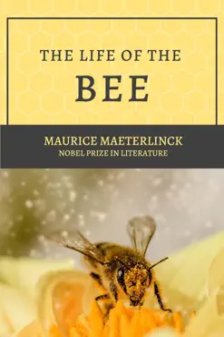 the life of the bee book cover image