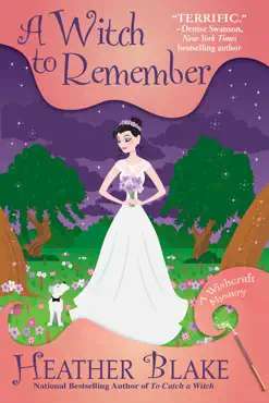 a witch to remember book cover image