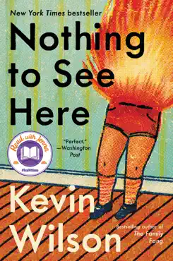 nothing to see here book cover image