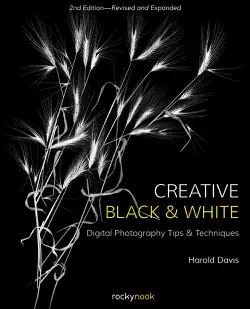 creative black and white book cover image