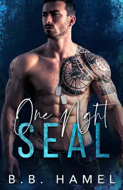 one night seal book cover image