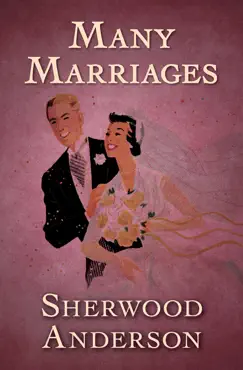 many marriages book cover image